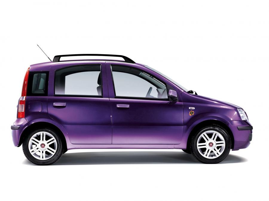  Fiat Panda Mamy 2008 года  (фото 2 из 8)